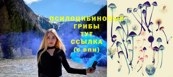 прущая мука Иннополис