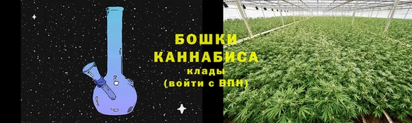 прущая мука Иннополис