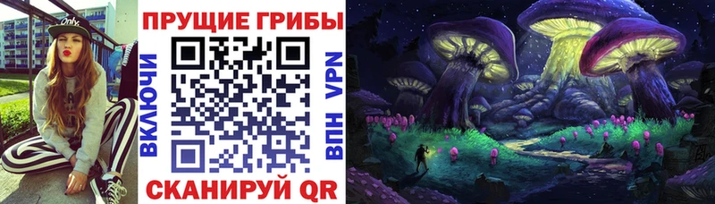 Купить  Крымск  Галлюциногенные грибы мицелий 